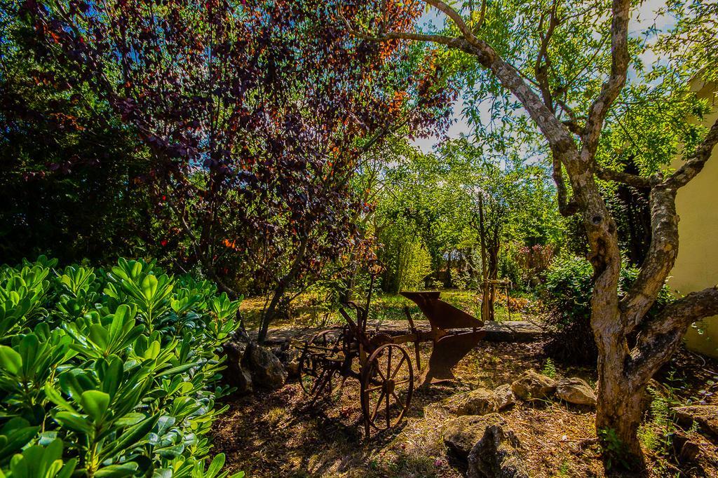 Can Pascolet Inca  Exterior photo